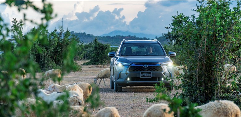 xe Toyota Cross 2023 1.8G màu xanh xám giữa thiên nhiên